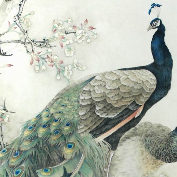 Welcome to the Prancing Peacock Boutique - Picture 5 of 8